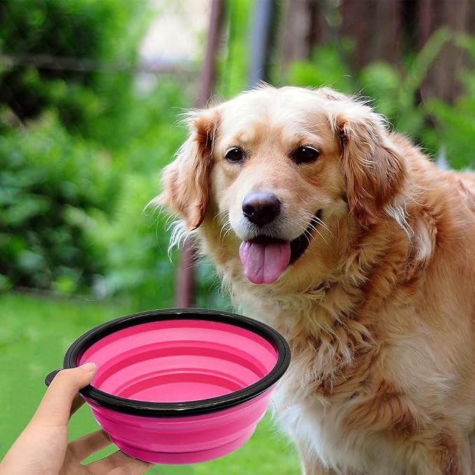 Dog Bowl Collapsible, 2 Pack, with Carabiners, Large, Orange+Pink