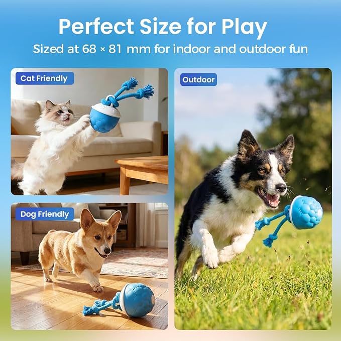 Interactive Dog Toys, 2026 Upgraded Motion Activated Automatic Rolling Ball Toys for Small/Medium/Large Dogs, 360° Smart Automatic Rolling Moving Balls for Boredom to Keep Them Busy (Orange 2PCS)