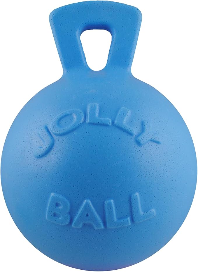 Jolly Pets Tug-n-Toss Heavy Duty Dog Toy Ball with Handle, 8 Inches/Large, Blueberry