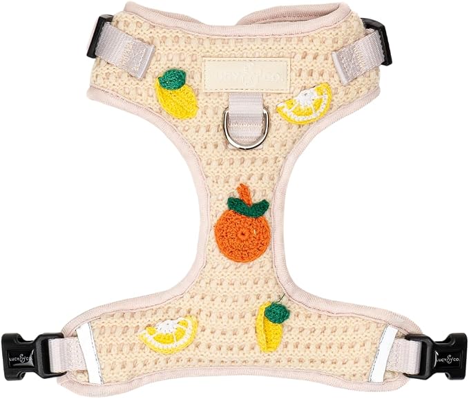 Lucy & Co. Main Squeeze Crochet No-Pull Dog Harness, Adjustable Front Clip Harness with Comfort Padding, Medium
