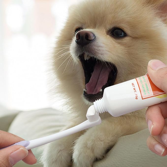 Soft Tooth Brush Small-Head Cleaning Pet Toothbrush Remove Bad Breath Tooth Brush Dog Care Mouth Clean Pet Cleaning Tool