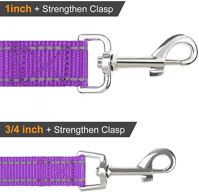 Joytale 12-16 inches Dog Collar and 6FT Leash, Reflective Soft Neoprene Padded Pet Collars and Leashes for Small Dog