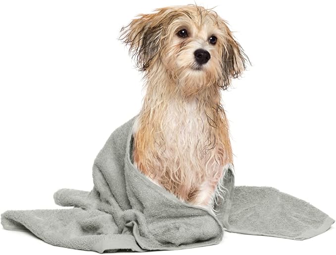 DAN RIVER Dog Towel - Pack of 1, 100% Cotton, 20x40, Ultra Soft 450 GSM, Super Absorbent & Quick Drying Towel for Dogs, Cats, and Other Pets, High Rise.