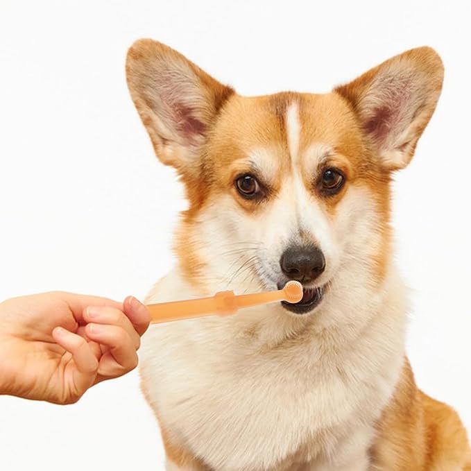 VOSAREA 1 Set of Silicone Pet Toothbrush Kit for Dogs and Cats Puppy Tooth Brushing Tool Double Head Oral Cleaning Brush for Small Dogs and Cats