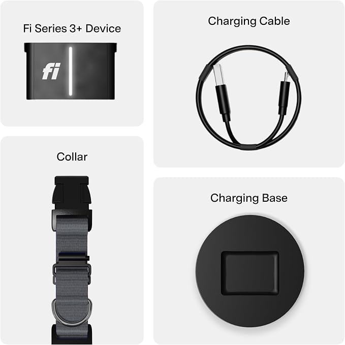 Fi Series 3+ GPS + Health Dog Collar, Gray, Medium, 12-Month Membership | Smart GPS dog collar with live tracking, health & behavior, Escape Alerts, LED light. Waterproof and Apple Watch compatible.