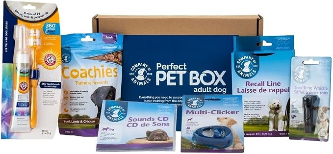 Company of Animals Dog Training Kit, 6 Products, Brown