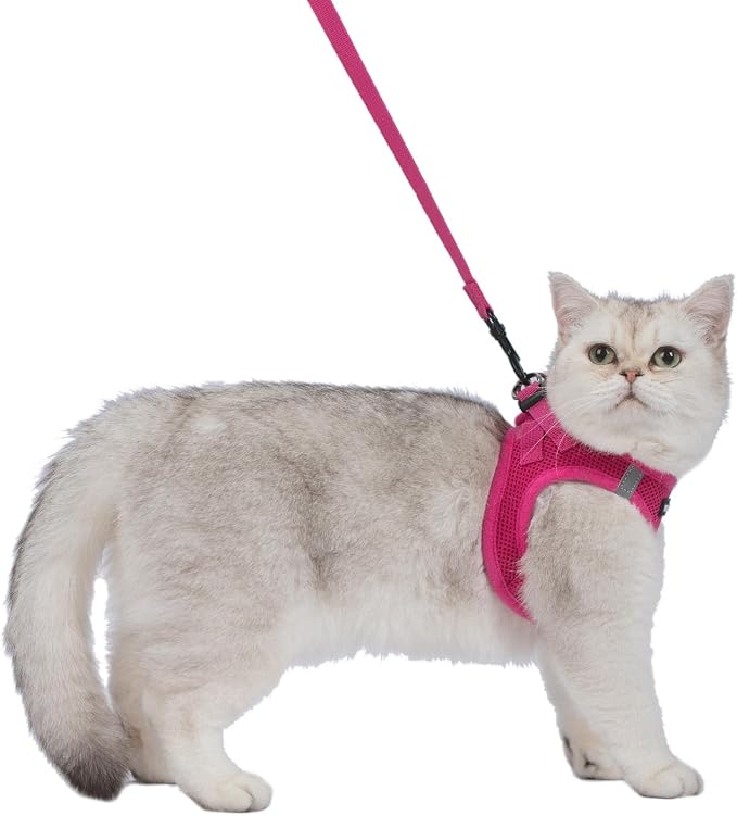 Voyager Step-in Pet Harness - All Weather Mesh, Adjustable Step in Harness for Cats and Dogs by Best Pet Supplies - 307S Fuchsia, XXXS