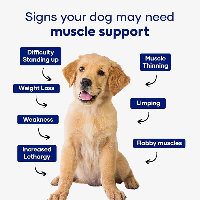 MyoQuin: Advanced Dog Hip and Joint Supplement with Glucosamine, Omega 3,Chondroitin and Green Lipped Mussel, Chews for Small Dogs, Medium Dog and Large Dogs Breeds