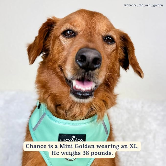 Lucy & Co. The Spring Green No-Pull Dog Harness - Size X-Large- Vest to Stop Pulling & Walk Easy - Comfortable Leash Training Product w/Adjustable Chest & Neck Straps