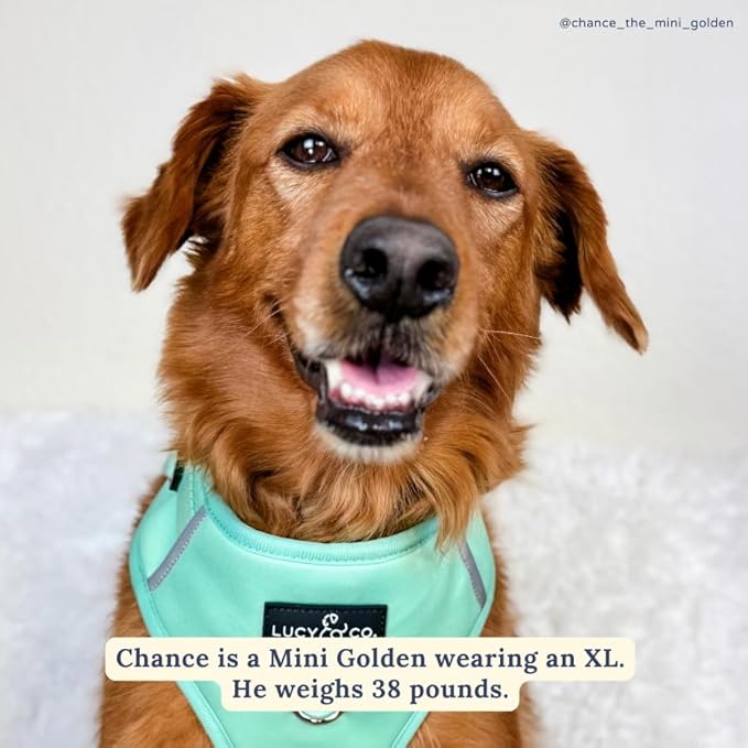 Lucy & Co. The Spring Green No-Pull Dog Harness - Size Small- Vest to Stop Pulling & Walk Easy - Comfortable Leash Training Product w/Adjustable Chest & Neck Straps