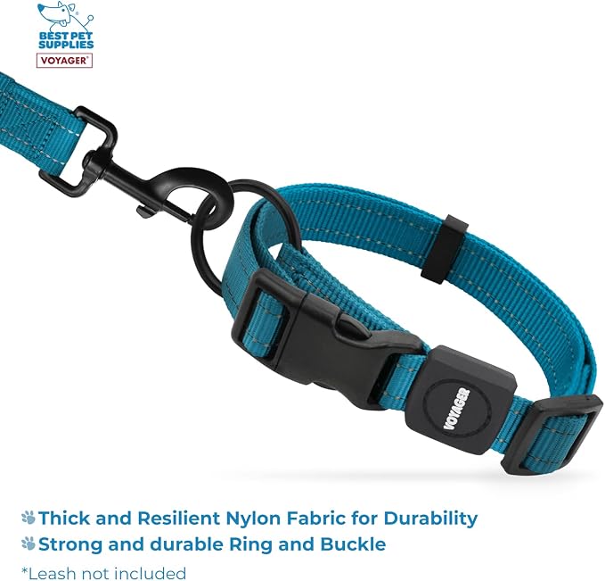 Best Pet Supplies Voyager Reflective Dog Leash or Collar with Neoprene Handle, for Small, Medium, and Large Breed Puppies, Cute and Heavy Duty for Walking, Running and Training - Turquoise, M