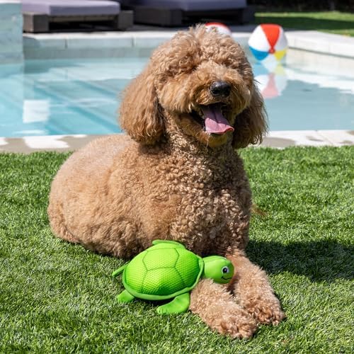 Fringe Studio Snappy Floating Dog Toy, Pet Shop Collection