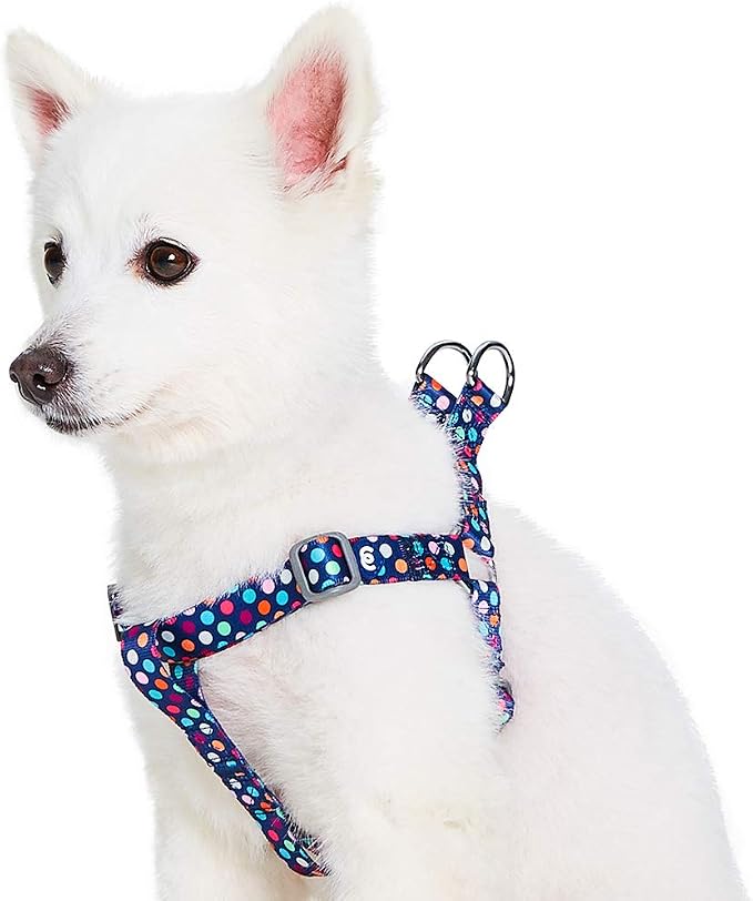 Blueberry Pet Essentials Step-in Rainbow Polka Dots Dog Harness, Chest Girth 16.5" - 21.5", Small, Adjustable Harnesses for Dogs