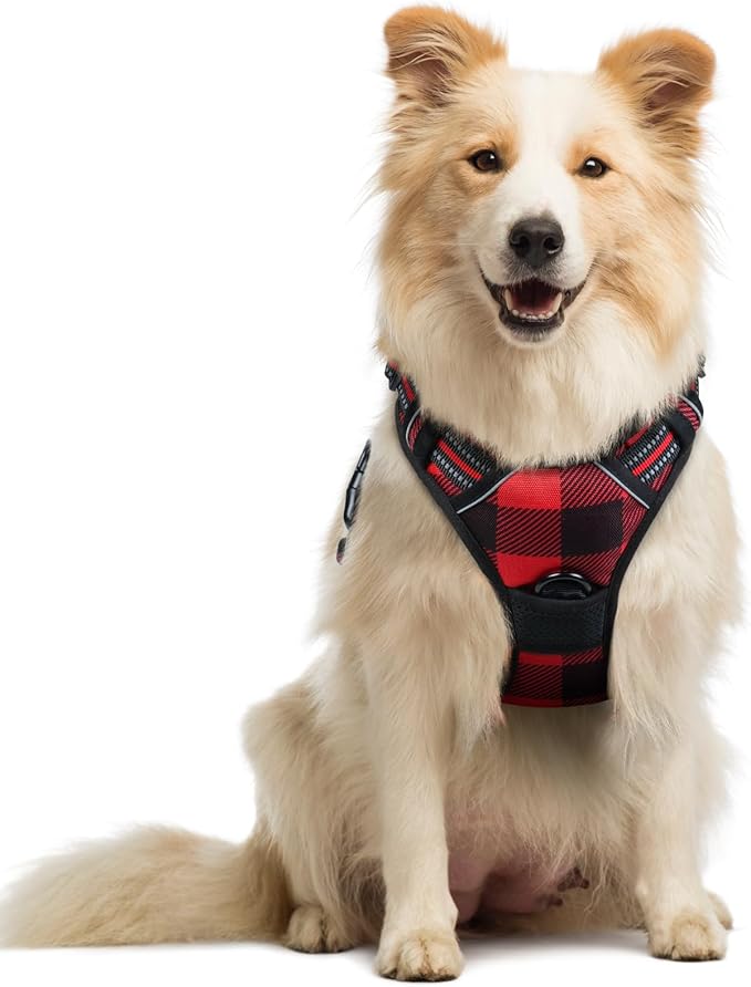 rabbitgoo Dog Harness, No Pull Medium Sized with 2 Leash Clips, Pet Vest | No Choke with Handle, Adjustable Soft Padded, Reflective, Easy Control for Walking, Red Plaid, Small