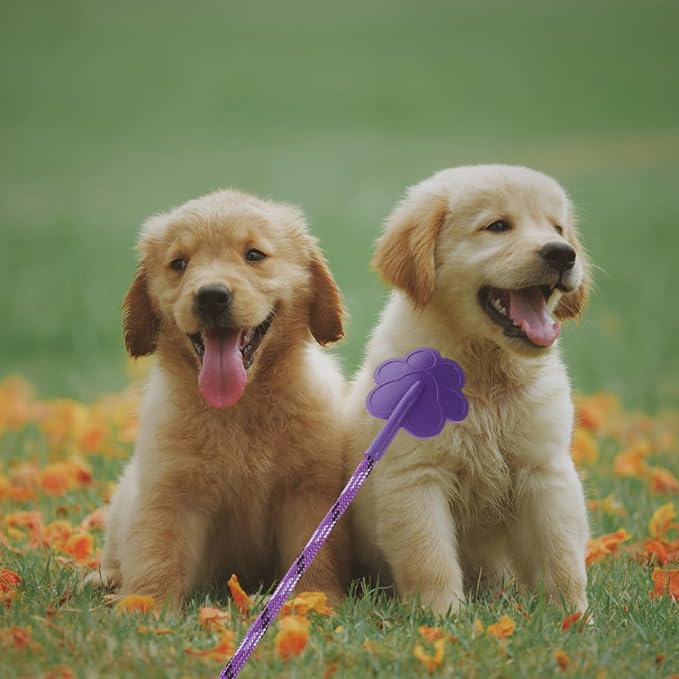 Dog Training Paw Shape Stick Tool, 2 Pack