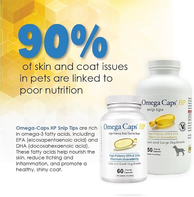 Omega-Caps HP Fish Oil for Dogs | High Potency EPA & DHA Omega-3 Supplement | Supports Skin, Coat, Joint, Heart & Immune Health | Snip Tip Capsules | Medium & Large Dogs | 250 Count