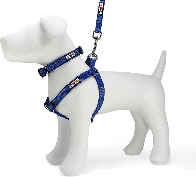 Pawtitas Value Bundle Set | Small Reflective Dog Harness + Small Reflective Dog Collar + Extra Small/Small Reflective Dog Leash – Blue Set
