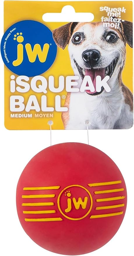 JW PET ISqueak Squeaker Dog & Puppy Fetch Chew Toy MEDIUM BALL 3 PACK