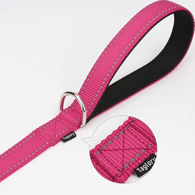Taglory 10"-16" Dog Collar and 5 FT Dog Leash Set, Highly Reflective Threads Dog Leash, Adjustable Reflective Dog Collar with Safety Locking Buckle for Small Dogs