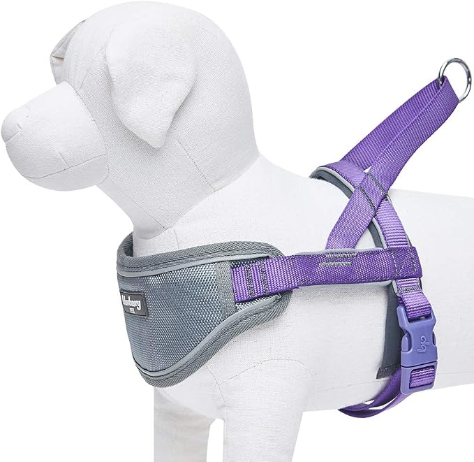 Blueberry Pet Purple Dog Harness, Medium Sized, Small Dog Harness, Puppy Harness, Reflective Nylon Vest, Adjustable for Small Dogs, Large Dog Owners, Pet Trainers, Active Pet Parents