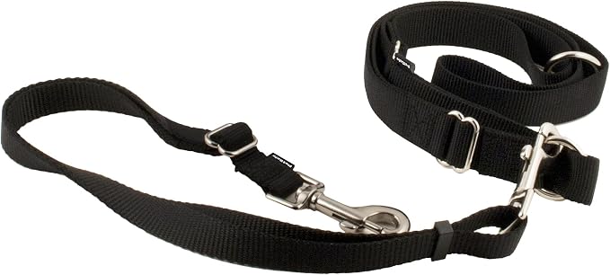 PetSafe Hands Free Dog Leash, Black | Waist Leash Great for Running, Jogging, Walking and Hiking, Quick-Release Hook & Loop Closure