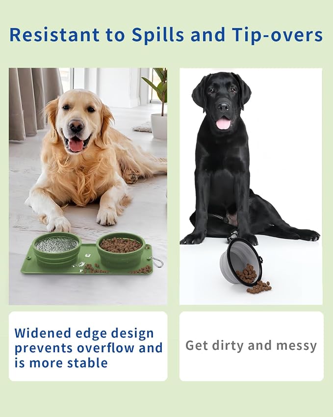 Collapsible Portable 2-in-1 Dog Bowl with Carabiner, Green