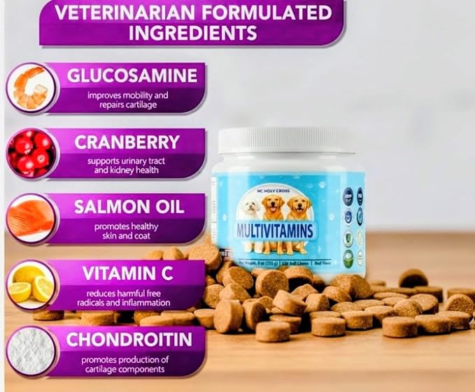 24-in-1 Dog Multivitamin Soft Chews for Dogs - Hip and Joint Supplement with Glucosamine, Chondroitin, Probiotics & Omega 3 - Immune Support, Skin & Coat Health - 120 Count - Beef Flavor