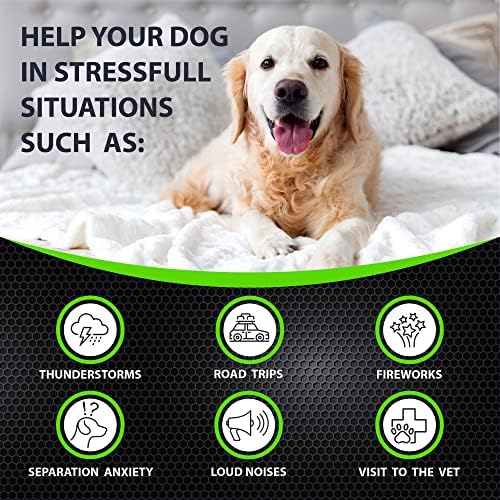 Hemp Calming Chews for Dogs Anxiety & Stress Relief