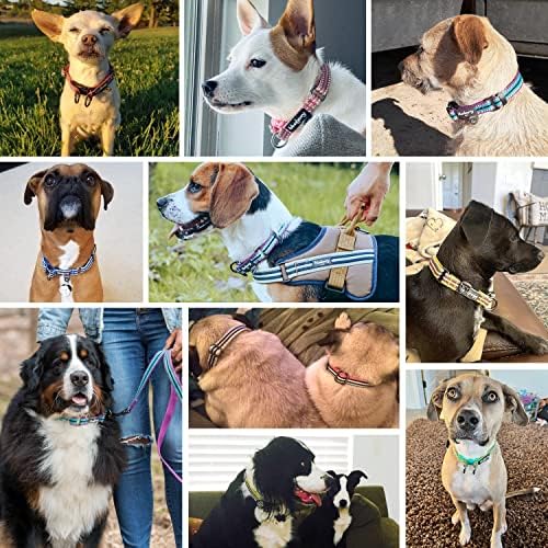 Blueberry Pet Dual D-Ring Safety Dog Collar | Adjustable Nylon Collar with Multicolor Stripes in Warm Tone Rainbow Color| Durable Collar Size X-Large for Large Breeds