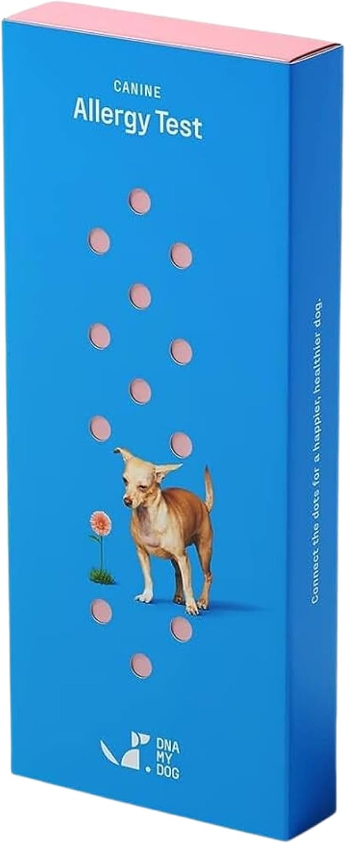 Vet-Recommended Allergy Test for Itchy Dogs - Gold