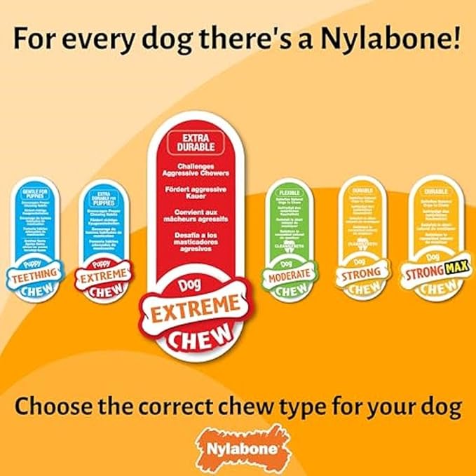 Nylabone, Extremely Strong Chewing Effect, Novelty Broccoli Chew Toy, Durable Chew Toy with Bacon and Cheese Flavour, Large, for Dogs up to 23 kg