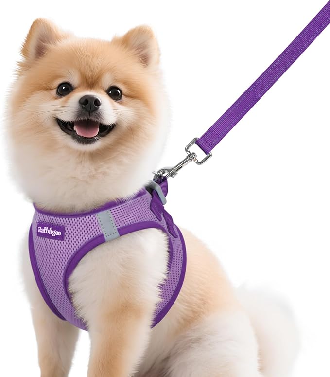 rabbitgoo Dog Harness Small Sized and Leash Set, Step in Soft Vest | Breathable Mesh, Easy Wear with Hook & Loop, Light and Reflective for Walking, Multi-colored, Light Purple & Purple, M