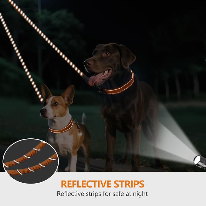 Taglory Double Dog Leash Coupler for Two Dogs, 1/3" Lightweight Dual Leash Extension for Small and Medium Dogs, No Tangle 360° Swivel, Reflective Rope, 30 Inch, Orange