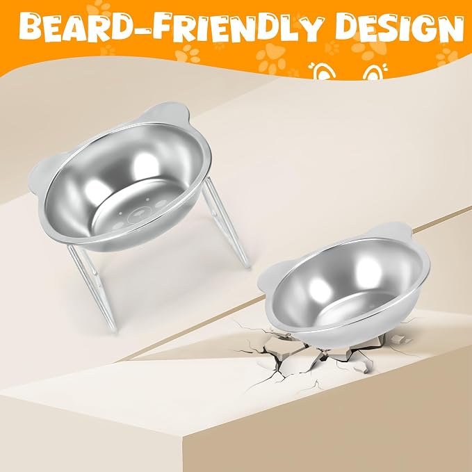 Elevated Cat Bowls, 2 Pack Raised Cat Food Water Bowls with Non-Slip Placemat, 15° Tilted Stand Anti Vomiting Stainless Steel Pet Food Feeding Dishes Plate for Cats Kitten Puppies Dogs Small Animals