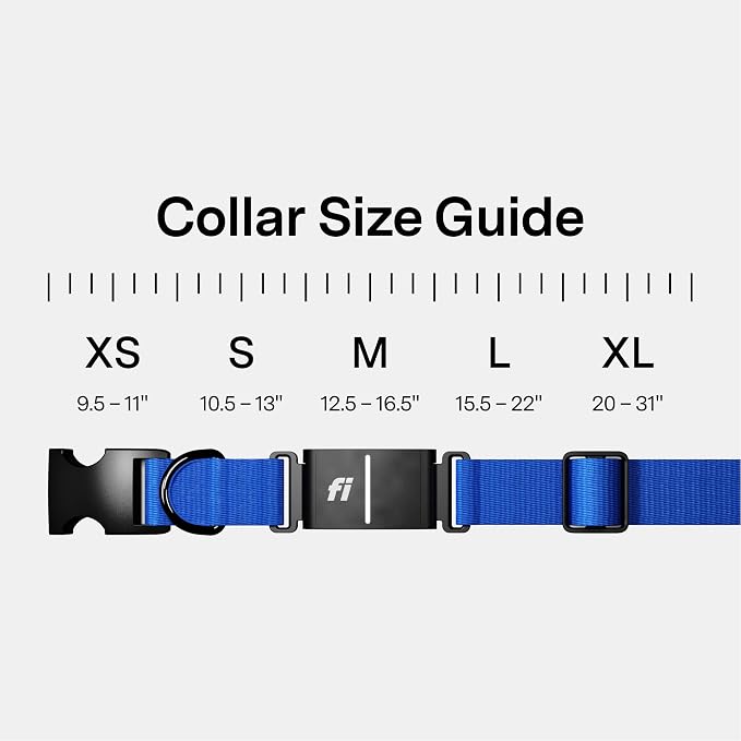 Fi Series 3+ GPS + Health Dog Collar, Blue, X-Large, 12-Month Membership | Smart GPS dog collar with live tracking, health & behavior, Escape Alerts, LED light. Waterproof and Apple Watch compatible.