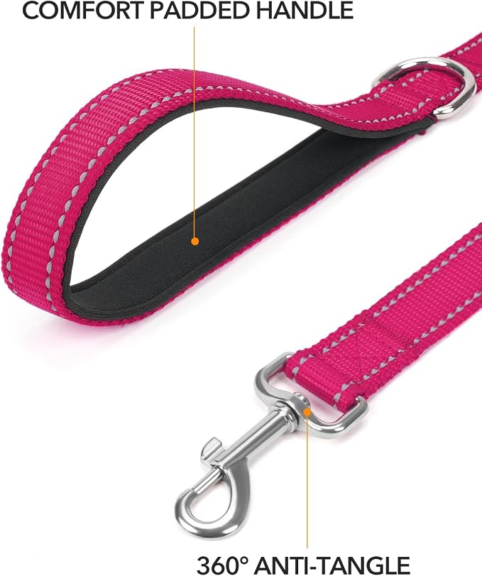 Taglory Reflective Dog Leash for Medium Large Dogs, 1in x 5ft, Hot Pink | Ideal for Night Walking, Strong for Sudden Pulls, Lightweight & Gentle on the Neck, Soft Padded Handle