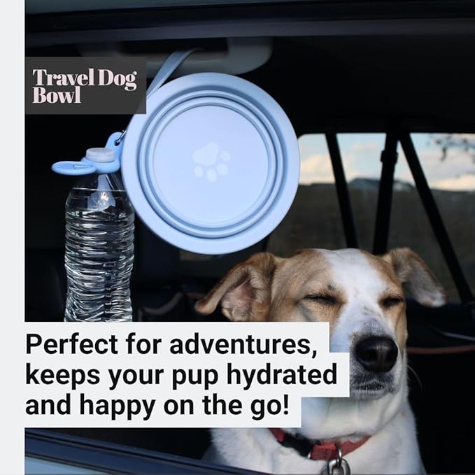 3-in-1 Travel Dog & Cat Bowl, Stainless Steel & Silicone