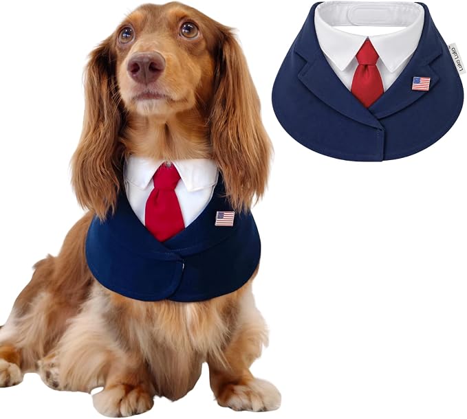 Premium Red Dachshund President Costume, Medium, Medium, Red