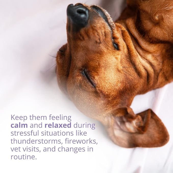 Under The Weather Calming Powder for Dogs