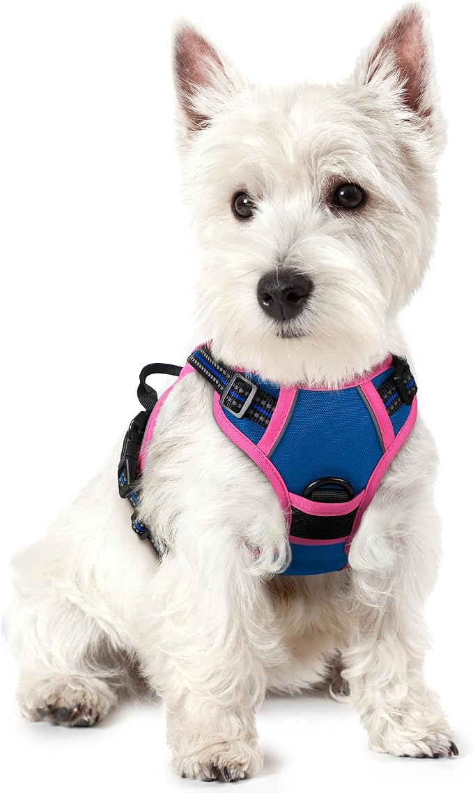 rabbitgoo Dog Harness, No Pull for Small Dogs with 2 Leash Clips, Pet Vest | No Choke with Handle, Adjustable Soft Padded, Reflective, Easy Control for Walking, Blue & Hot Pink, X-Small