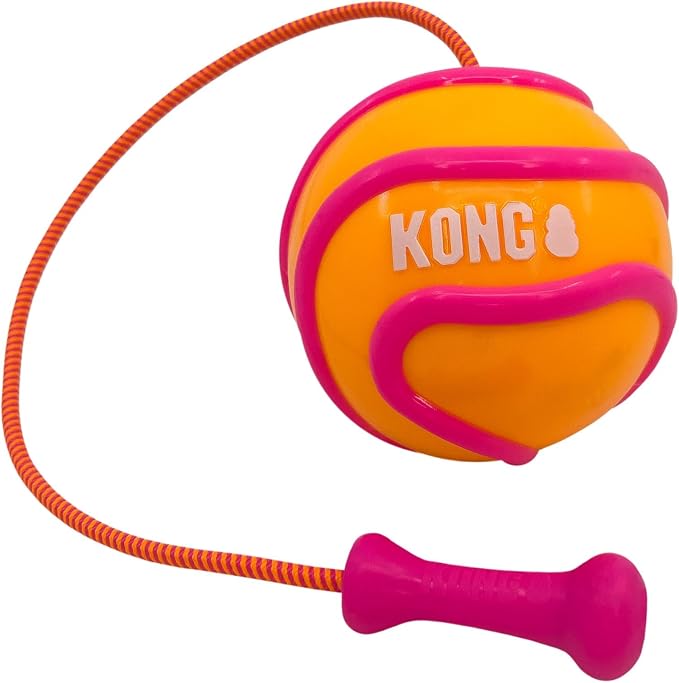 KONG Bunji High-Viz Brightly Colored Glow in The Dark High Visibility Fetch and Retrieve Durable Bouncy Ball Assorted (Large)