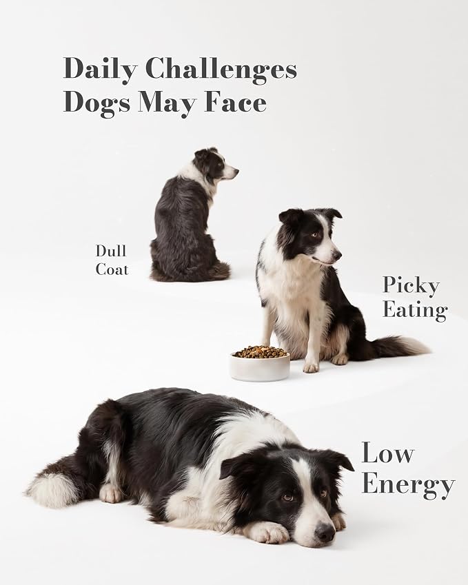 Dog Multivitamin Soft Chews, Daily Vitamins for Dogs, 120 Count | Dog Vitamins & Minerals for Heart & Vision Support, 23 Active Ingredients with CoQ10, Taurine, Lutein & Omega-3 Fish Oil