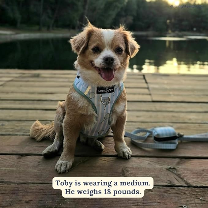 Lucy & Co. The Match Point No-Pull Dog Harness - Size Large - Vest to Stop Pulling & Walk Easy - Comfortable Leash Training Product w/Adjustable Chest & Neck Straps