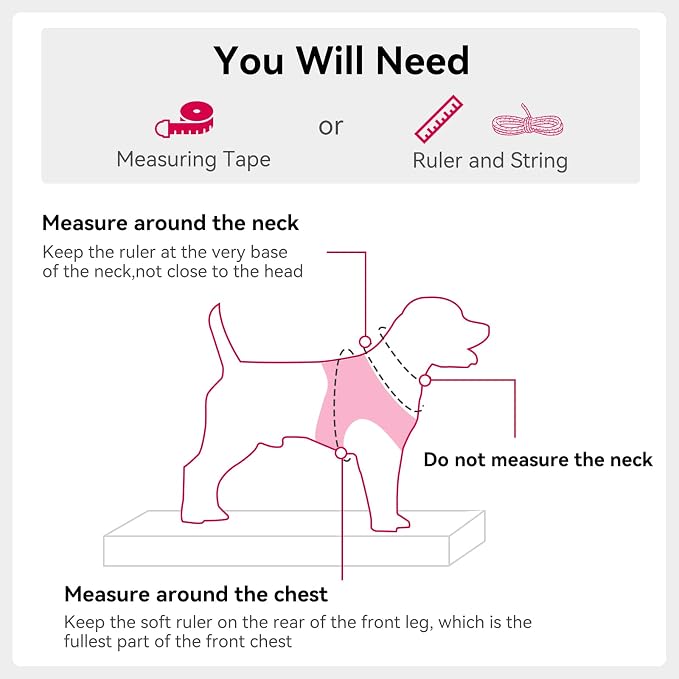 Joytale Step-in Dog Harness, Soft Breathable Mesh, Hot Pink XXXS | Adjustable Fit for Small Dogs, Easy Step-in with Secure Fastener, Even Chest Pressure, Reflective For Night Safety, Washable