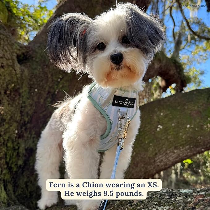 Lucy & Co. The Match Point No-Pull Dog Harness - Size Large - Vest to Stop Pulling & Walk Easy - Comfortable Leash Training Product w/Adjustable Chest & Neck Straps