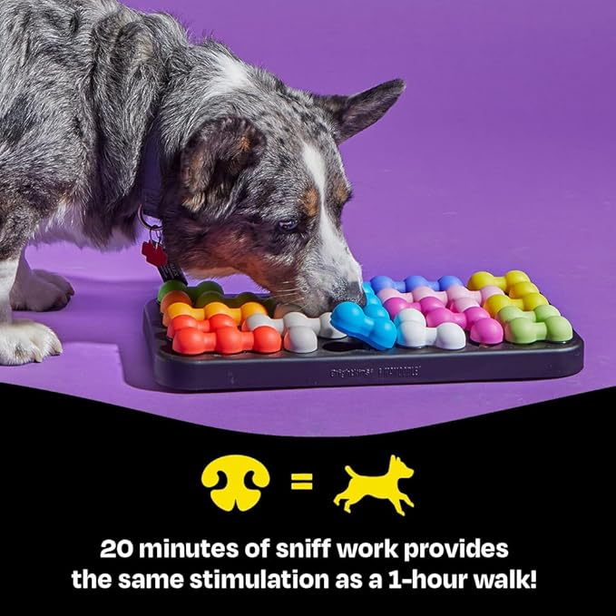 Brightkins Kanoodle Dog Edition Large - Puzzle Toys for Dogs, Interactive Dog Toys, Large Puppy Treat Toy, Cat Puzzle Feeders, Brain Training for Dogs, Mental Enrichment Pet Games, Puzzles for Puppies