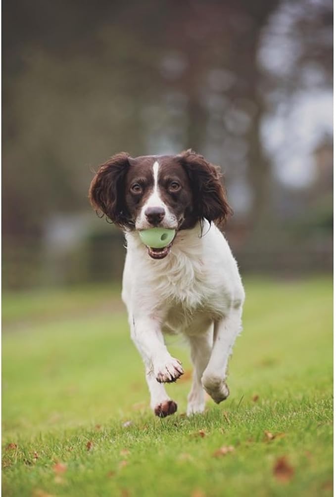Chuckit! Max Glow Bouncy Ball, Glowin the Dark, XL 3.5in | Photoluminescent Rubber Ball Recharges Fast Under Any Bright Light for Nighttime Fetch, Launcher Compatible