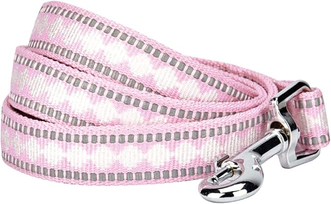 Blueberry Pet 3M Reflective Jacquard Dog Leash with Soft & Comfortable Handle, 5 ft x 5/8", Pink, Small, Leashes for Dogs