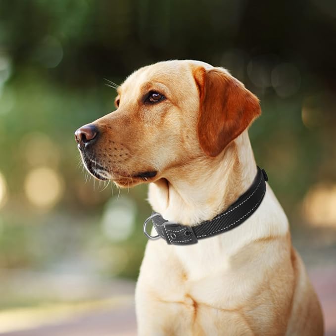 Fida Heavy Duty Dog Collar for Large Dogs with Metal Belt Buckle, Black | Soft Neoprene Padded for Extra Comfort, Thicker Nylon Webbing, Adjustable Fit, Reflective Stitching for Night Safety
