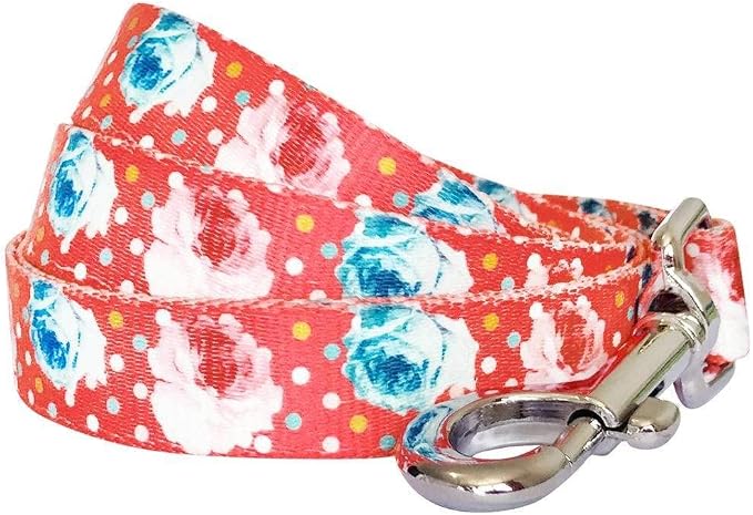 Blueberry Pet 9 Patterns Durable Spring Scent Inspired Rose and Polka Dot Print Brink Pink Dog Leash 4 ft x 1", Large, Leashes for Dogs